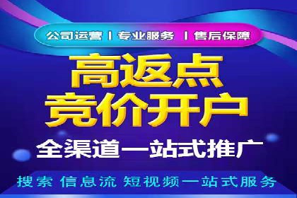 SEM竞价案例：提升搜索引擎排名